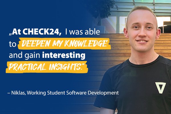 Niklas, Working Student in Software Development